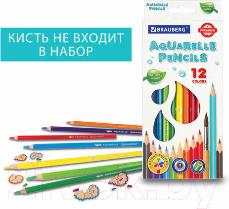 Изображение товара Набор акварельных карандашей Brauberg Premium / 181671 (12цв)