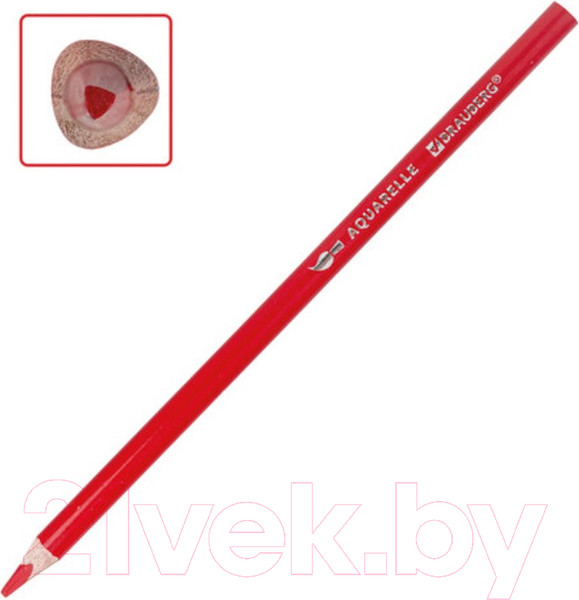Изображение товара Набор акварельных карандашей Brauberg Premium / 181672 (18цв)