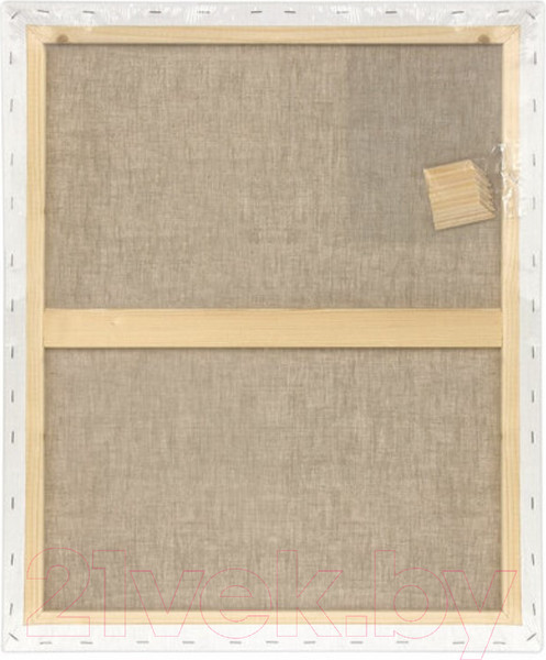 Изображение товара Холст для рисования Brauberg Art Premiere / 190641