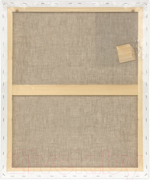 Изображение товара Холст для рисования Brauberg Art Premiere / 190642