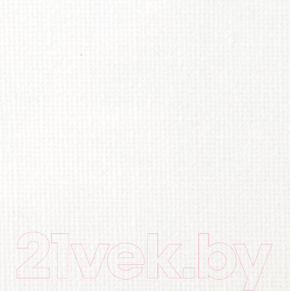 Изображение товара Холст для рисования Brauberg Art Debut / 191024