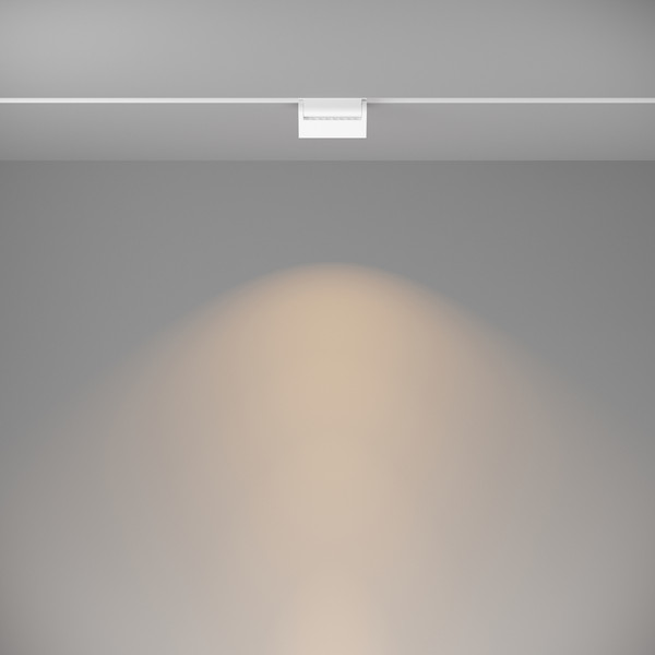 Изображение товара Трековый светильник Maytoni Basis TR013-2-10W3K-W