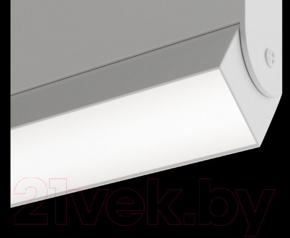 Изображение товара Трековый светильник Maytoni Basis TR013-2-10W3K-W