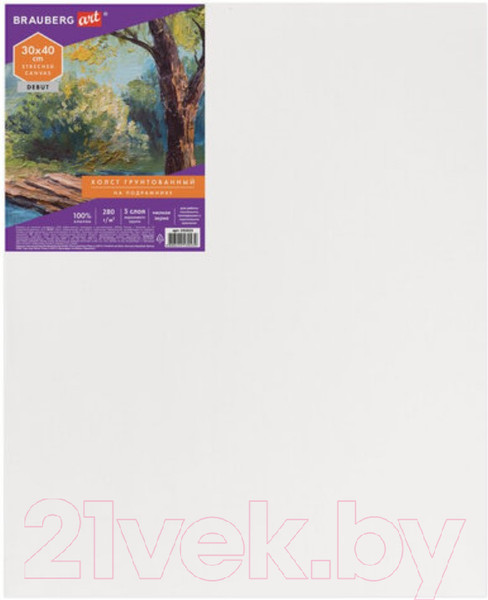 Изображение товара Холст для рисования Brauberg Art Debut / 191023