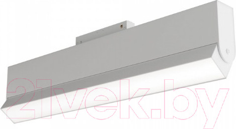 Изображение товара Трековый светильник Maytoni Basis TR013-2-20W3K-W