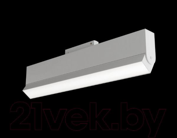 Изображение товара Трековый светильник Maytoni Basis TR013-2-20W3K-W