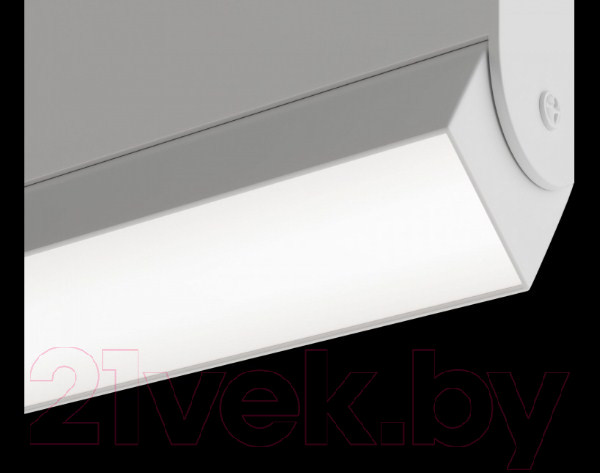 Изображение товара Трековый светильник Maytoni Basis TR013-2-20W3K-W