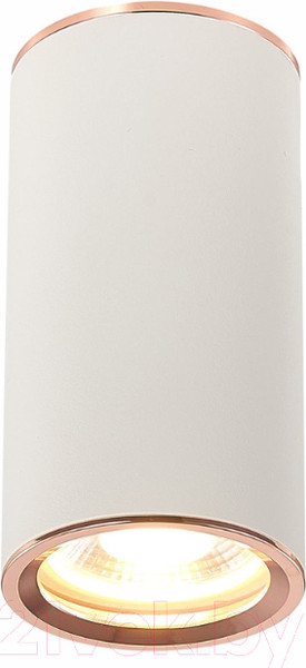 Изображение товара Точечный светильник ST Luce Chomus ST111.527.01