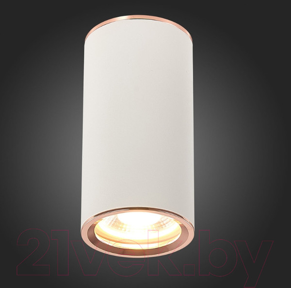 Изображение товара Точечный светильник ST Luce Chomus ST111.527.01