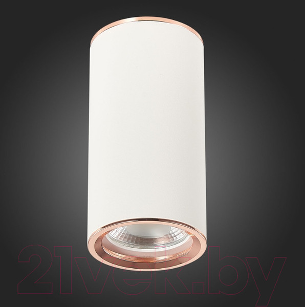 Изображение товара Точечный светильник ST Luce Chomus ST111.527.01