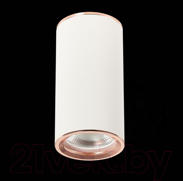 Изображение товара Точечный светильник ST Luce Chomus ST111.527.01