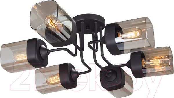 Изображение товара Люстра Vitaluce V4888-1/6PL