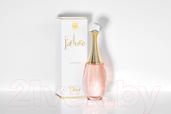 Изображение товара Туалетная вода Christian Dior J'Adore (100мл)