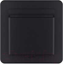 Изображение товара Выключатель Legrand Inspiria 673803 (антрацит)