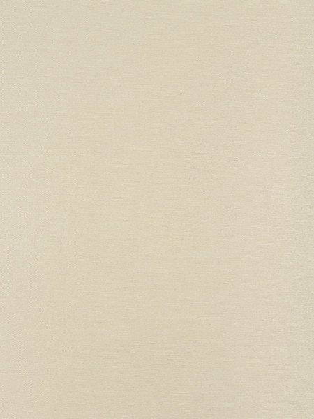 Изображение товара Рулонная штора Lm Decor Шайн LM 42-07 200x185 (молочный)