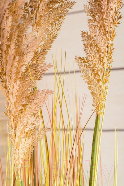 Изображение товара Искусственное растение Merry Bear Home Decor Микс трава-тростник желтеющий / KD3406-109-22