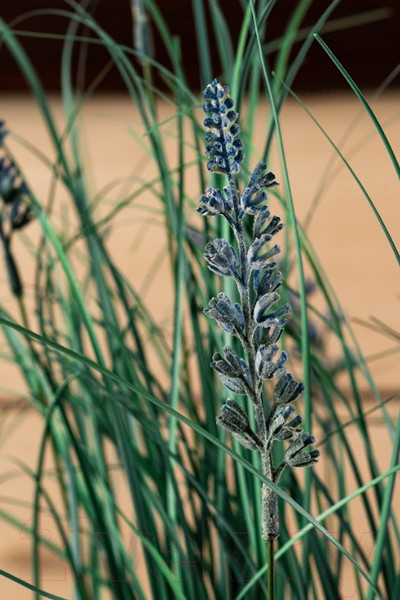 Изображение товара Искусственное растение Merry Bear Home Decor Микс трава-лаванда / KD4010-60-22