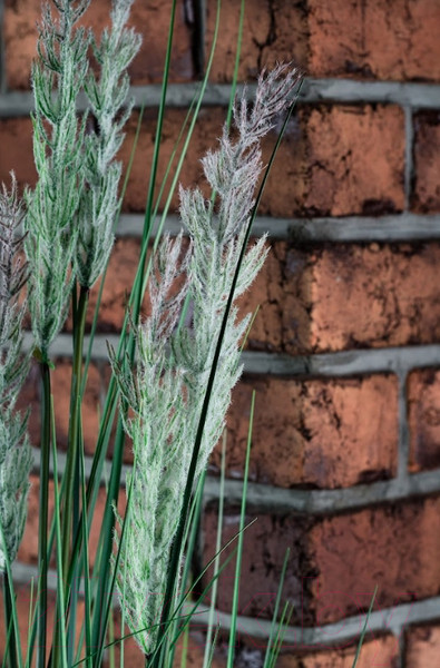 Изображение товара Искусственное растение Merry Bear Home Decor Микс трава-житник / KD4201-122-22