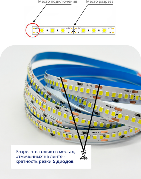 Изображение товара Светодиодная лента Truenergy 24V-240D 19.2W/m 6000K IP20 / 16508 (5м)