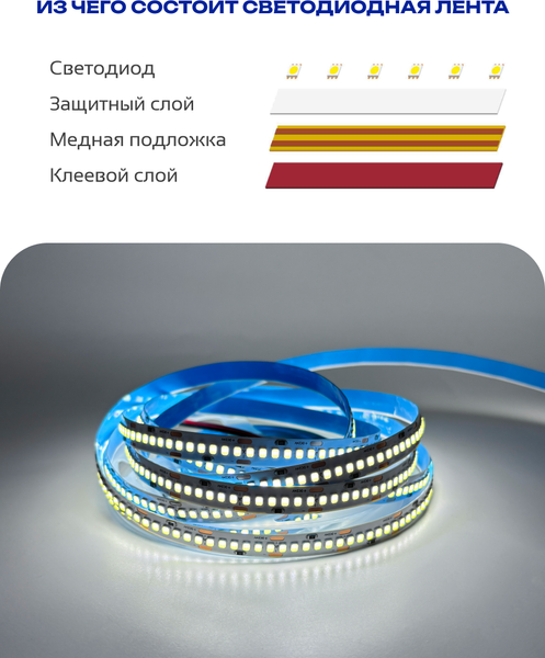 Изображение товара Светодиодная лента Truenergy 24V-240D 19.2W/m 6000K IP20 / 16508 (5м)
