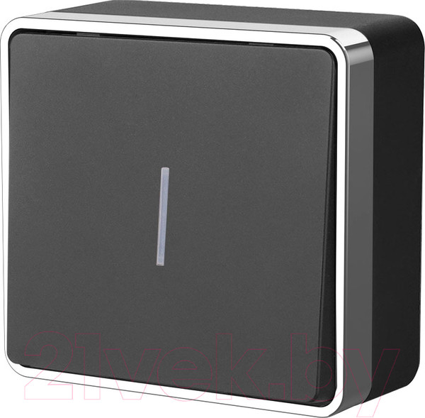 Изображение товара Выключатель Werkel Gallant W5010135 / a050979 (черный/хром)