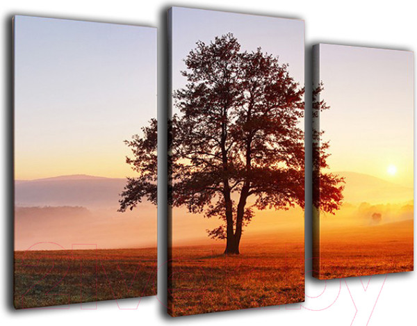 Изображение товара Картина модульная Arthata m-000348 (90x60)