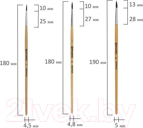 Изображение товара Набор кистей Brauberg Беличья / 200217 (5шт)