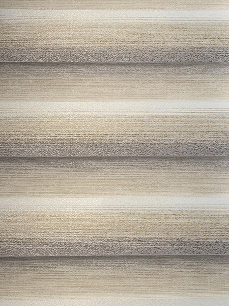 Изображение товара Рулонная штора Lm Decor Дабл ДН LB 55-02 120x170 (бежевый/серый)