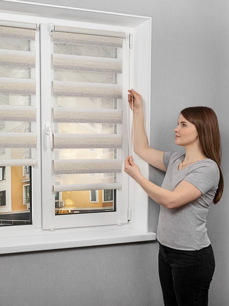 Изображение товара Рулонная штора Lm Decor Дабл ДН LB 55-02 140x170 (бежевый/серый)