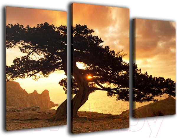 Изображение товара Картина модульная Arthata m-000354 (75x50)