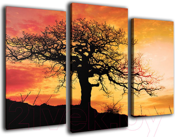 Изображение товара Картина модульная Arthata m-000356 (90x60)