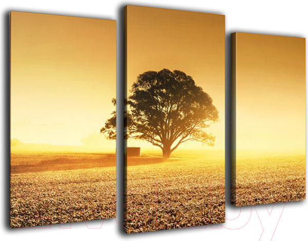 Изображение товара Картина модульная Arthata m-000357 (90x60)