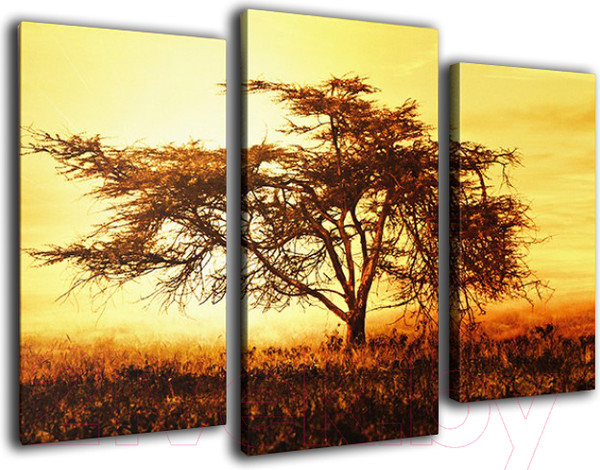 Изображение товара Картина модульная Arthata m-000358 (90x60)