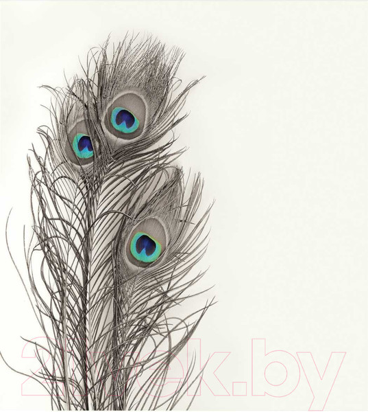 Изображение товара Шторка-занавеска для ванны JoyArty Три пера павлина / sc_3785