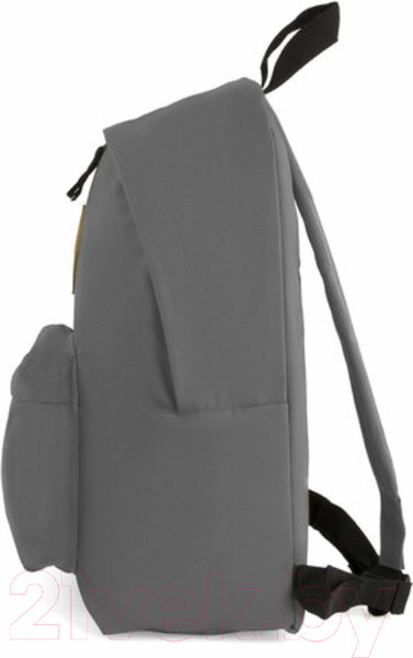 Изображение товара Рюкзак Brauberg 225380 (серый)