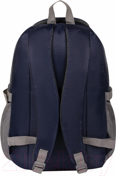 Изображение товара Школьный рюкзак Brauberg Райдер / 225523