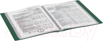 Изображение товара Папка для бумаг Brauberg 228684 (зеленый)