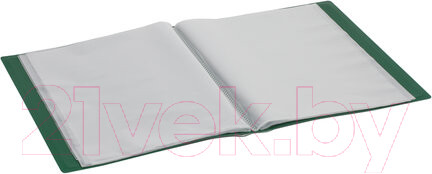 Изображение товара Папка для бумаг Brauberg 228684 (зеленый)