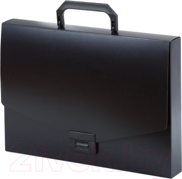 Изображение товара Папка-портфель Brauberg 221202 (черный)