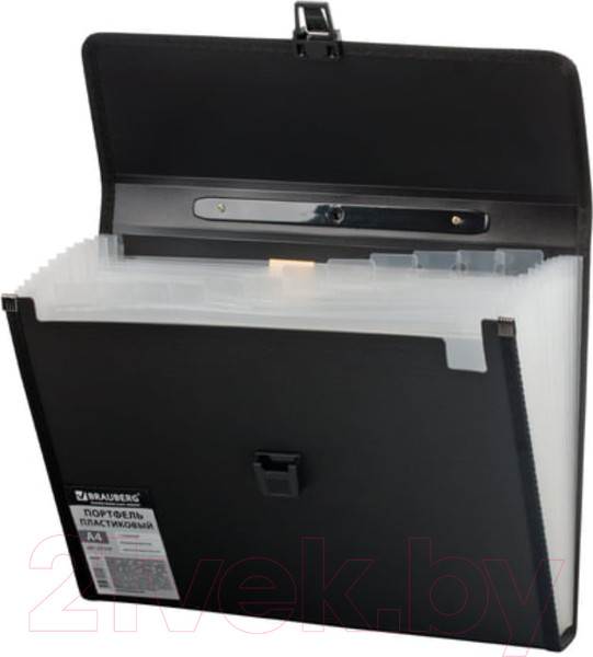Изображение товара Папка-портфель Brauberg 221378 (черный)