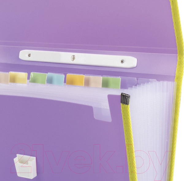 Изображение товара Папка-портфель Brauberg Joy / 227977 (фиолетовый)