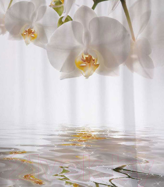 Изображение товара Шторка-занавеска для ванны JoyArty Орхидея ожидает / sc_2287