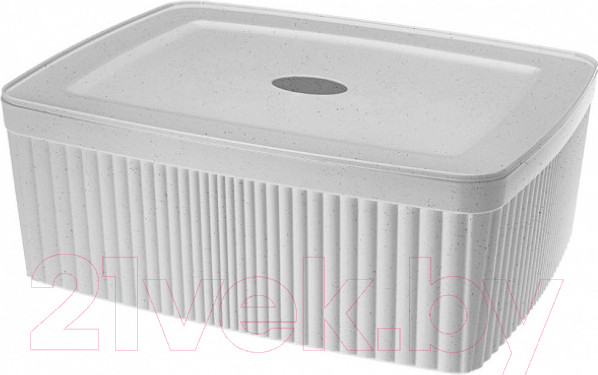 Изображение товара Контейнер для хранения Econova Velvet / 433238938 (светло-серый флэк)