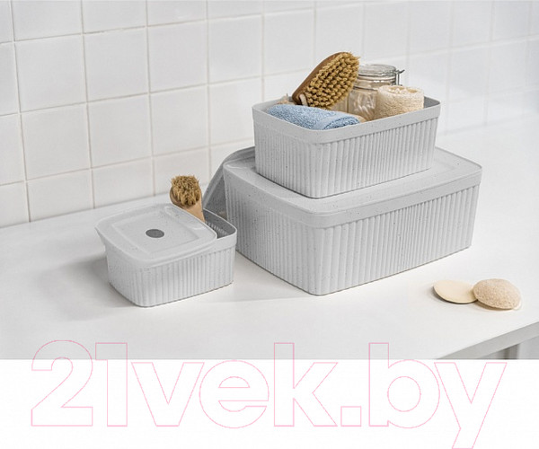 Изображение товара Контейнер для хранения Econova Velvet / 433238938 (светло-серый флэк)