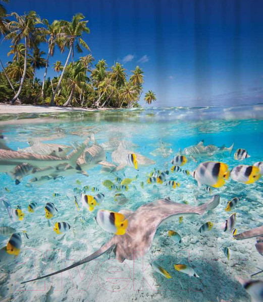 Изображение товара Шторка-занавеска для ванны JoyArty Рыбы под берегом / sc_2750