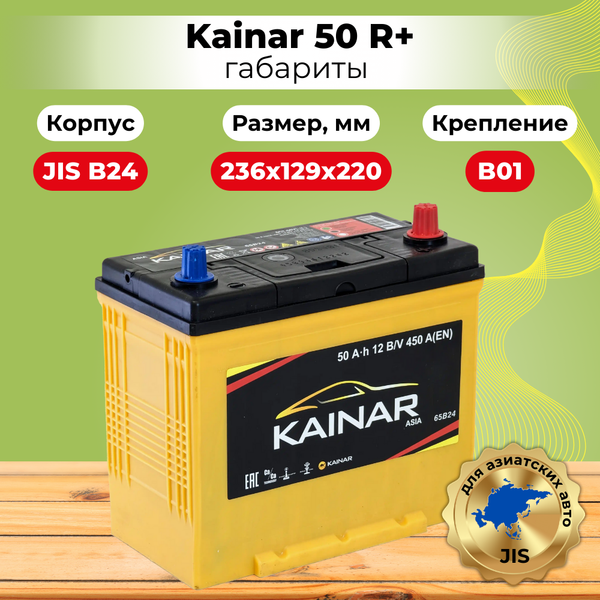 Изображение товара Автомобильный аккумулятор Kainar Asia 50 JR+ с бортом 450A / 045 24 42 03 0031 40 41 0 L (50 А/ч)