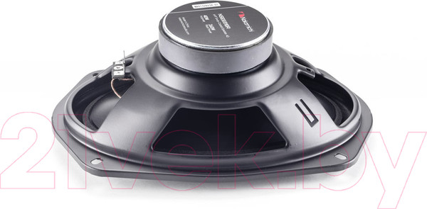 Изображение товара Коаксиальная АС Nakamichi NSE-6918R