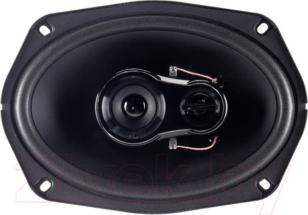 Изображение товара Коаксиальная АС Nakamichi NSE-6918R