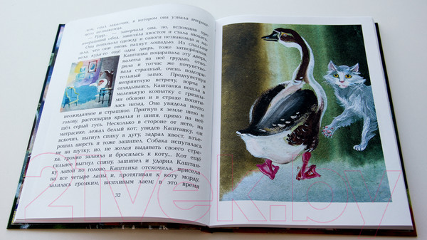 Изображение товара Книга АСТ Каштанка (Чехов А.П.)