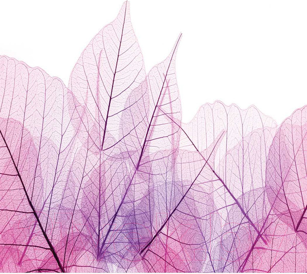 Изображение товара Шторка-занавеска для ванны JoyArty Лиственный узор / sc_13293